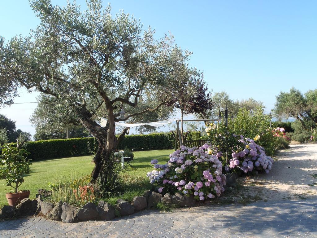 Il Poggio Degli Ulivi Apartment Trevignano Romano Room photo