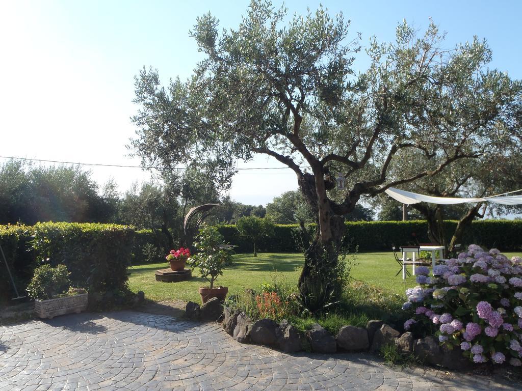Il Poggio Degli Ulivi Apartment Trevignano Romano Room photo