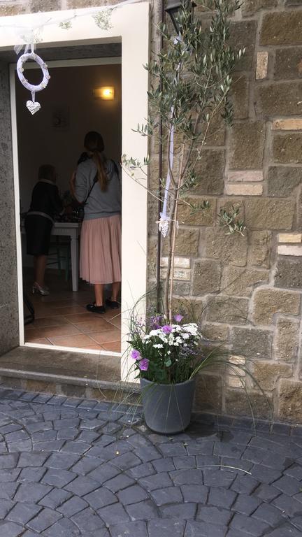 Il Poggio Degli Ulivi Apartment Trevignano Romano Exterior photo