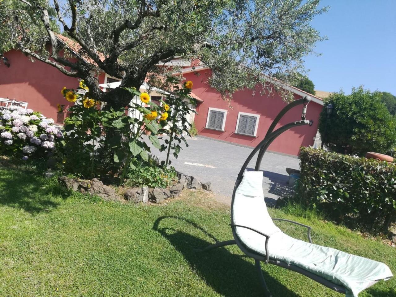 Il Poggio Degli Ulivi Apartment Trevignano Romano Exterior photo