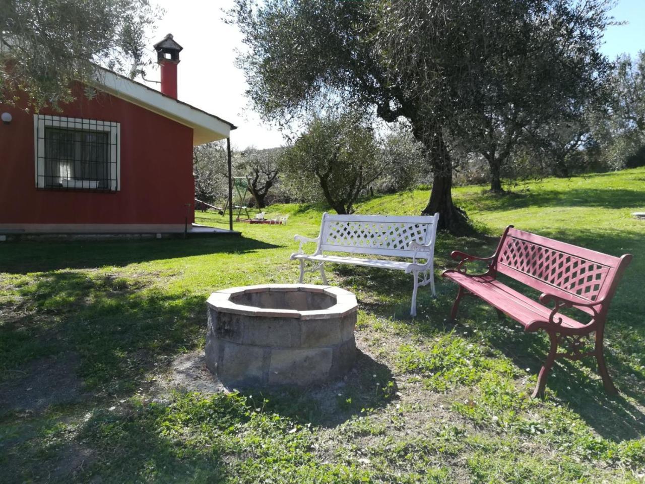 Il Poggio Degli Ulivi Apartment Trevignano Romano Exterior photo