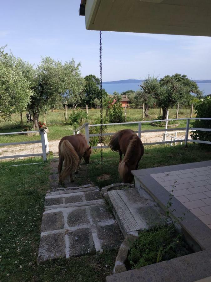 Il Poggio Degli Ulivi Apartment Trevignano Romano Exterior photo